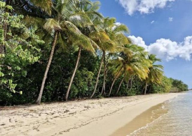 Touloukaera Appt 303 Plage Kawann Saint-Louis المظهر الخارجي الصورة