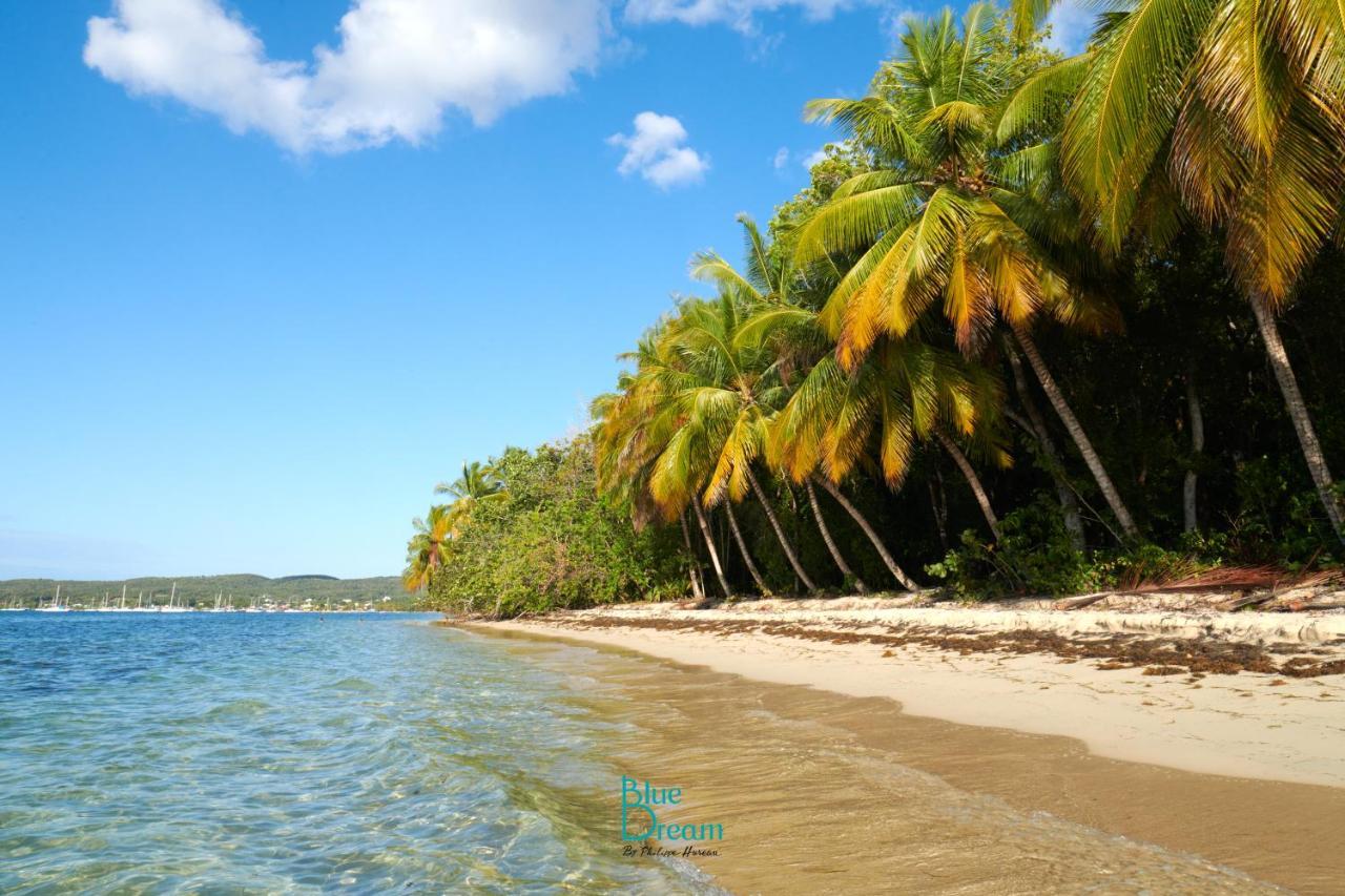 Touloukaera Appt 303 Plage Kawann Saint-Louis المظهر الخارجي الصورة